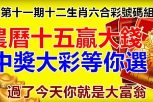 第十一期十二生肖六合彩號碼組合。農曆十五贏大錢，中獎大彩等你選！過了今天你就是大富翁。