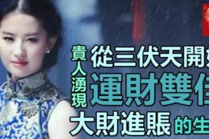 從三伏天開始，貴人湧現，運財雙佳，大財進賬無數的四大生肖！