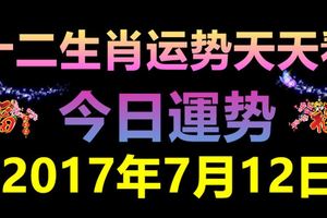 十二生肖運勢天天看，今日運勢：7月12日