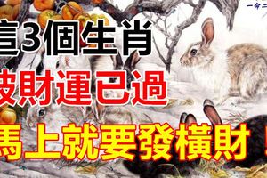 這3個生肖，破財運已過，馬上就要發橫財！
