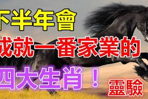 下半年會成就一番家業的四大生肖！靈驗！