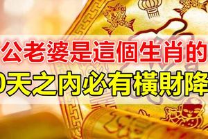 老公老婆是這個生肖的人，10天之內必有橫財降臨！