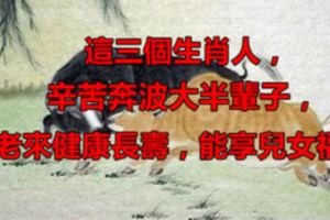 這三個生肖人辛苦了大半輩子，老來健康長壽，能享兒女福！