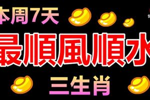 本周7天最順風順水的生肖