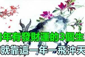 明年有發財運的3個生肖，就靠這一年一飛沖天
