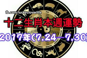十二生肖本週運勢2017年(7.24—7.30)