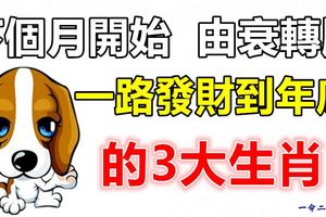 下個月開始，由衰轉順，一路發財到年底的3大生肖！