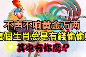 不聲不響黃金萬兩，這個生肖總是有錢偷偷賺，其中有你麼？