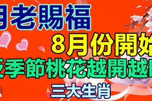 月老賜福，8月份開始，反季節桃花越開越旺的三大生肖