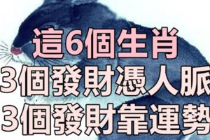 生財有道，這6個生肖，3個發財憑人脈，3個發財靠運勢！