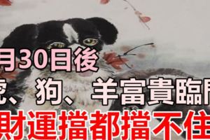 7月30日後，虎、狗、羊富貴臨門、財運擋都擋不住！