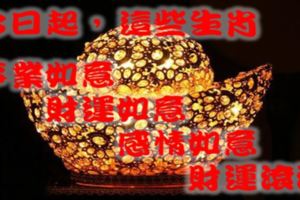 今日起，這四個生肖事業如意、財運如意、感情如意，財運滾滾！