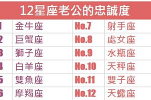 12星座老公的忠誠度