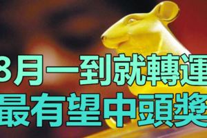 8月一到就轉運，最有望中頭獎的三大生肖！