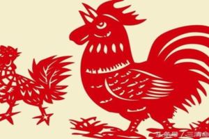 這幾種生肖的人，為何在2017年會這麼倒黴？