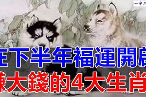 在下半年福運開啟賺大錢的4大生肖！