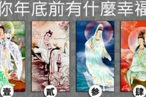 【菩薩塔羅】測年底前你有什麼幸福？
