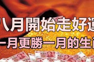 八月開始走好運，一月更勝一月的3大生肖！