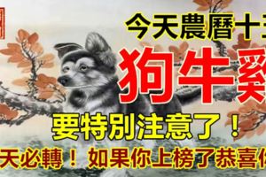 今天農曆十五，狗牛雞，要特別注意了！如果你上榜了必轉！