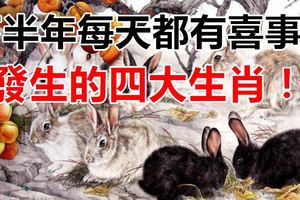 下半年每天都有喜事兒發生的四大生肖！