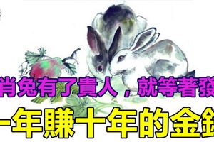 生肖兔有了貴人，就等著發財，一年賺十年的金銀