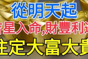 從明天起，有吉星入命，財豐利達，註定大富大貴的4大生肖