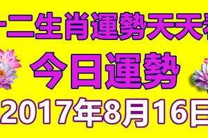 十二生肖運勢天天看，今日運勢：8月16日