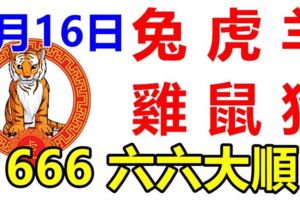 八月16日運勢大吉的生肖：兔虎羊雞鼠狗【666六六大順】運勢詳細版！