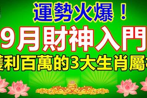 運勢火爆！9月財神入門，獲利百萬的3大生肖屬相！