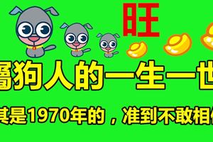 屬狗人的一生一世，尤其是1970年的，准到不敢相信！