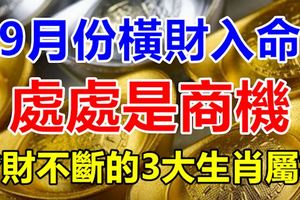 9月份橫財入命，處處是商機，發財不斷的3大生肖屬相！