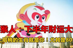 屬猴人：下半年財運大漲、喜上眉梢的生肖就是你！尤其是80年的