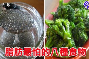 吃對了，才會瘦！脂肪最怕的「8大食物」公開，「減肥減脂」、預防心臟病一次滿足