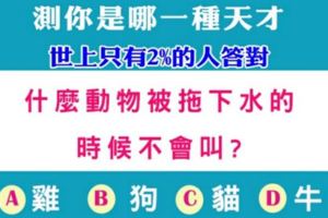 世上只有2%的人答對！測你是哪一種天才