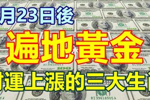 8月23日後遍地黃金，財運上漲的三大生肖！