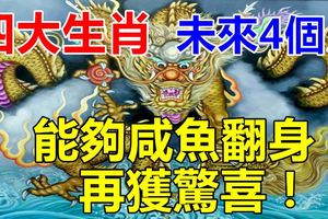 未來4個月能夠鹹魚翻身再獲驚喜的四大生肖！