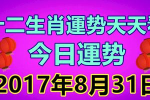 十二生肖運勢天天看，今日運勢：8月31日