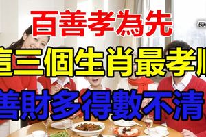 百善孝為先，這三個生肖最孝順，善財多得數不清！