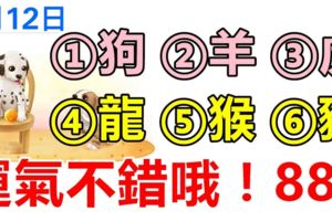 9月12日，生肖狗、羊、虎、龍、猴、豬！運氣不錯哦！