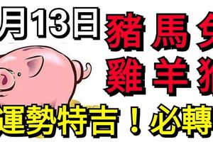 9月13日，生肖豬、馬、兔、雞、羊、猴！運勢特吉！