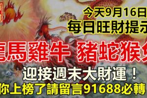 今天9月16日：每日旺財提示：龍馬雞牛，豬蛇猴兔。迎接週末大財運！你上榜了請留言91688必轉！