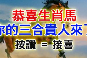 恭喜生肖馬，你的「三合貴人」來了，快來接吧！
