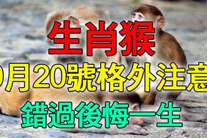 屬猴的，不跟你開玩笑！9月20號格外「注意」，錯過後悔一生