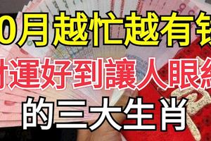 這三大生肖10月越忙越有錢，財運好到讓人眼紅！