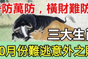 千防萬防，橫財難防！這三大生肖10月份難逃意外之財！