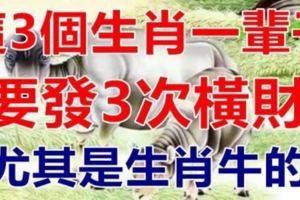 這3個生肖，一輩子要發橫財3次，數錢到百八十歲！尤其是生肖牛的！