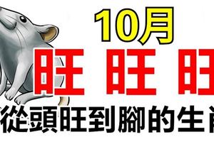 10月財運旺旺旺，運勢旺旺旺的三大生肖！