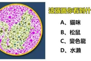 準到我下跪！你第一眼看到什麼動物？看穿你不為人知的潛藏性格！