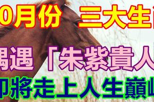 10月份偶遇「朱紫貴人」即將走上人生巔峰的三大生肖