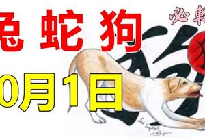10月1日！生肖兔，蛇，狗要格外注意了！轉走最靈！